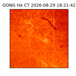 gong - 2026-08-29T18:21:42