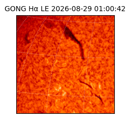 gong - 2026-08-29T01:00:42