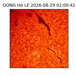 gong - 2026-08-29T02:00:42