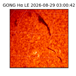 gong - 2026-08-29T03:00:42
