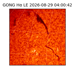 gong - 2026-08-29T04:00:42