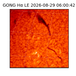 gong - 2026-08-29T06:00:42