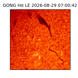 gong - 2026-08-29T07:00:42