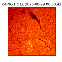 gong - 2026-08-29T08:00:42