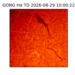 gong - 2026-08-29T10:00:22