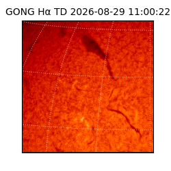 gong - 2026-08-29T11:00:22