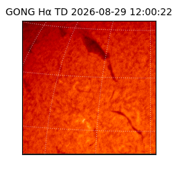 gong - 2026-08-29T12:00:22