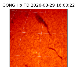 gong - 2026-08-29T16:00:22