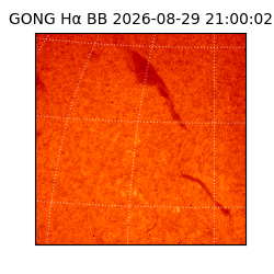 gong - 2026-08-29T21:00:02