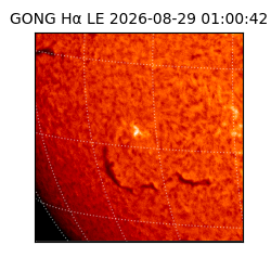 gong - 2026-08-29T01:00:42