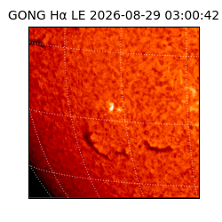 gong - 2026-08-29T03:00:42