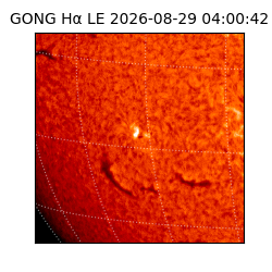gong - 2026-08-29T04:00:42