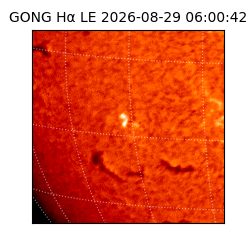 gong - 2026-08-29T06:00:42