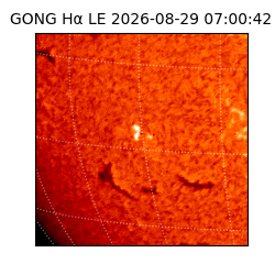 gong - 2026-08-29T07:00:42