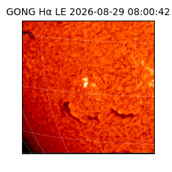 gong - 2026-08-29T08:00:42