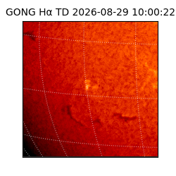 gong - 2026-08-29T10:00:22