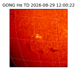 gong - 2026-08-29T12:00:22