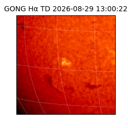 gong - 2026-08-29T13:00:22