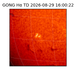 gong - 2026-08-29T16:00:22