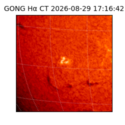 gong - 2026-08-29T17:16:42