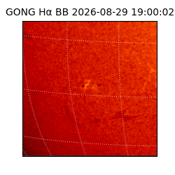 gong - 2026-08-29T19:00:02