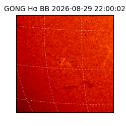 gong - 2026-08-29T22:00:02