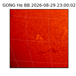 gong - 2026-08-29T23:00:02
