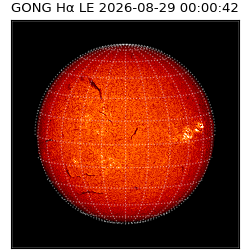gong - 2026-08-29T00:00:42