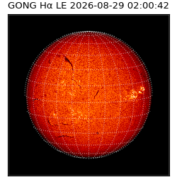 gong - 2026-08-29T02:00:42