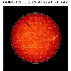 gong - 2026-08-29T05:00:42