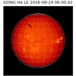 gong - 2026-08-29T06:00:42