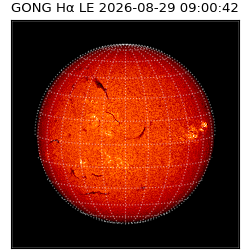 gong - 2026-08-29T09:00:42