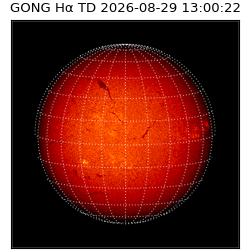 gong - 2026-08-29T13:00:22