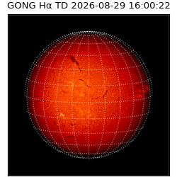 gong - 2026-08-29T16:00:22