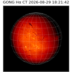 gong - 2026-08-29T18:21:42