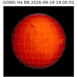 gong - 2026-08-29T19:00:02
