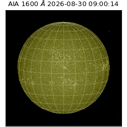 saia - 2026-08-30T09:00:14.120000