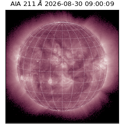 saia - 2026-08-30T09:00:09.640000
