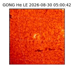 gong - 2026-08-30T05:00:42