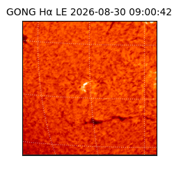 gong - 2026-08-30T09:00:42