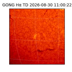 gong - 2026-08-30T11:00:22