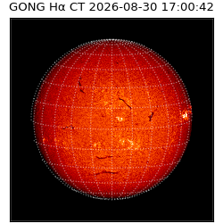 gong - 2026-08-30T17:00:42