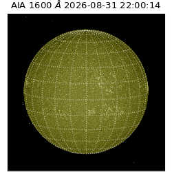 saia - 2026-08-31T22:00:14.120000