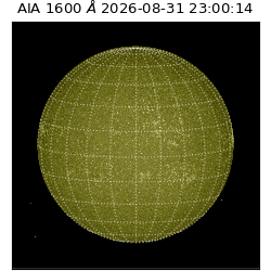 saia - 2026-08-31T23:00:14.120000
