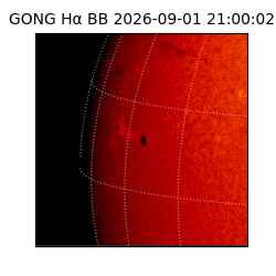 gong - 2026-09-01T21:00:02