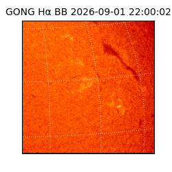 gong - 2026-09-01T22:00:02