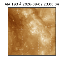 saia - 2026-09-02T23:00:04.840000