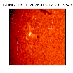 gong - 2026-09-02T23:19:43