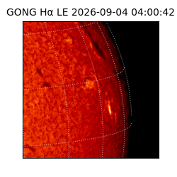 gong - 2026-09-04T04:00:42