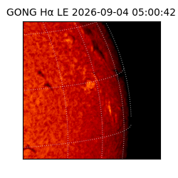 gong - 2026-09-04T05:00:42